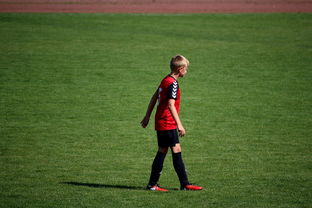 爱游戏体育入口-国际排联调整赛制 新赛季竞争更激烈，国际排联最新排名  第2张