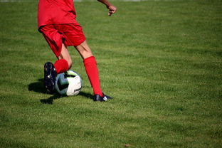 爱游戏下载-基层足球项目评估体系尚未建立  第2张